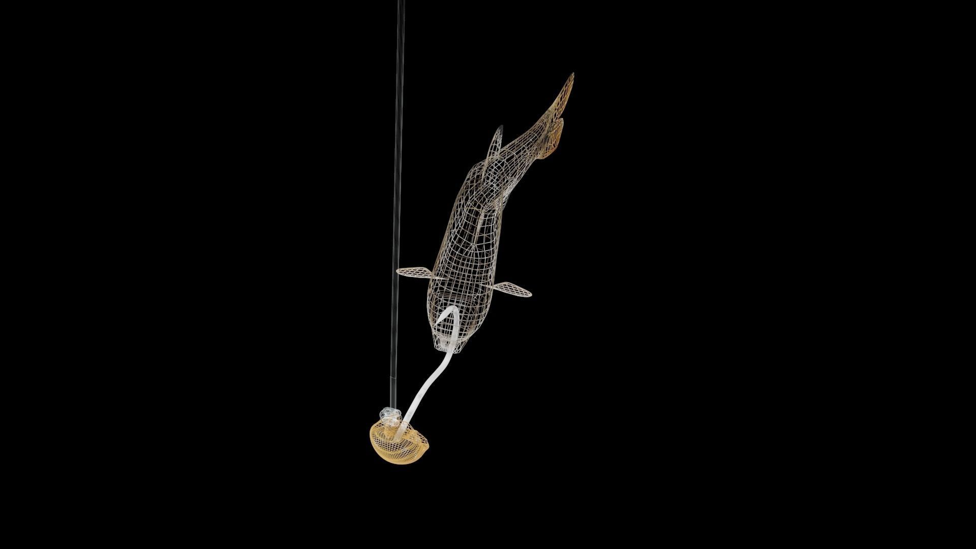 RedTail Chub 3D model_3