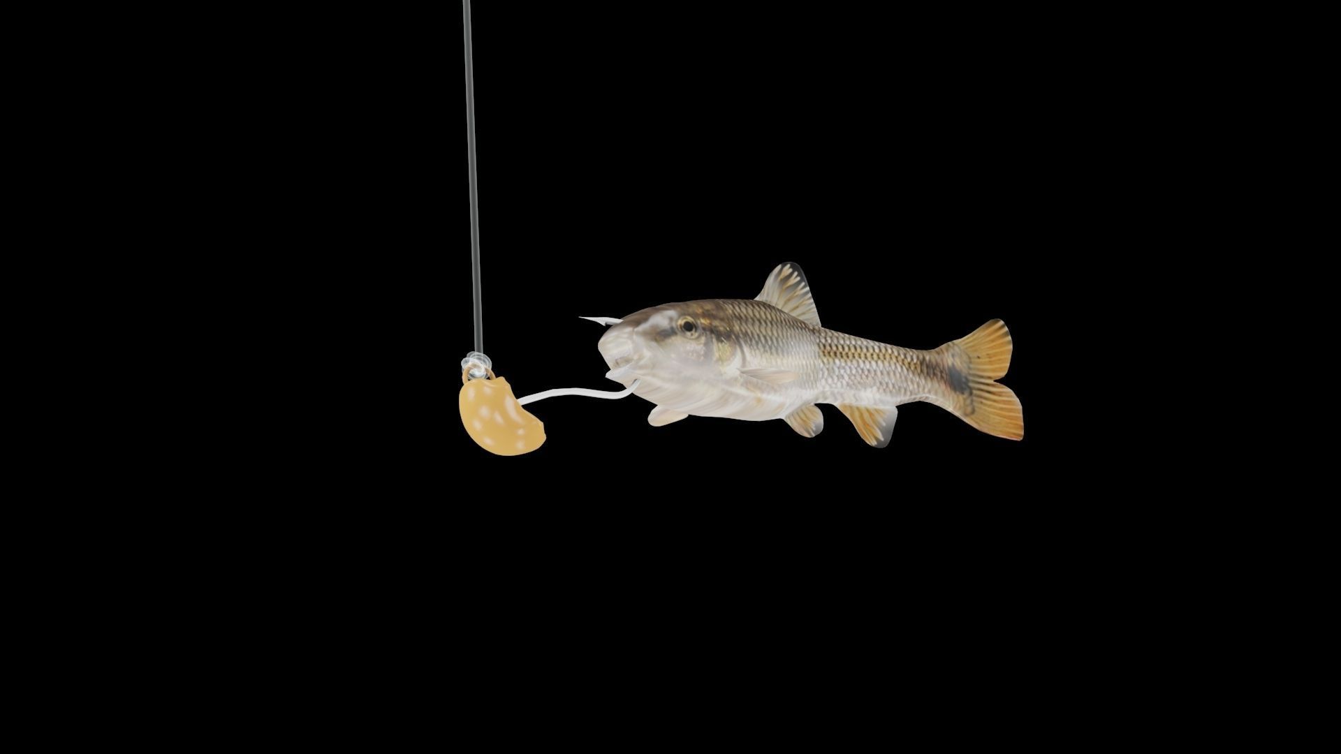 RedTail Chub 3D model_2