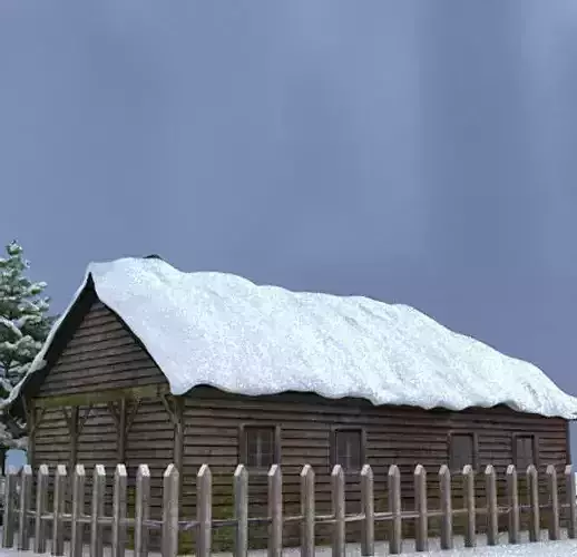Snow house Scene