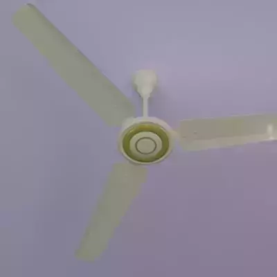 White Ceiling Fan