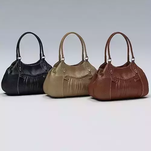 Ladies Hand Bag 01
