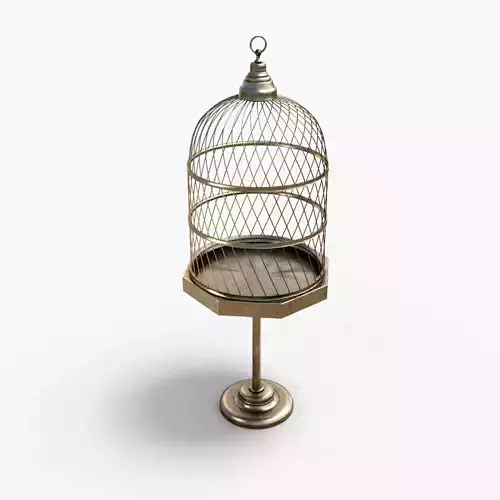 AntiqueBirdcage2 birdcage