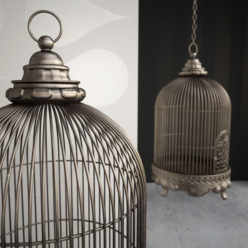 Antique Birdcage 01 3D model_3