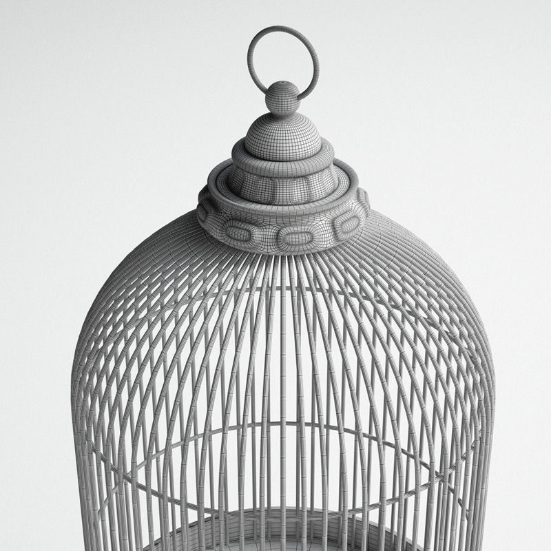 Antique Birdcage 01 3D model_8