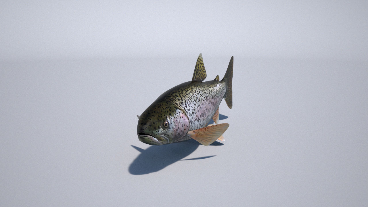 trout 3ds max vray 3D model_11