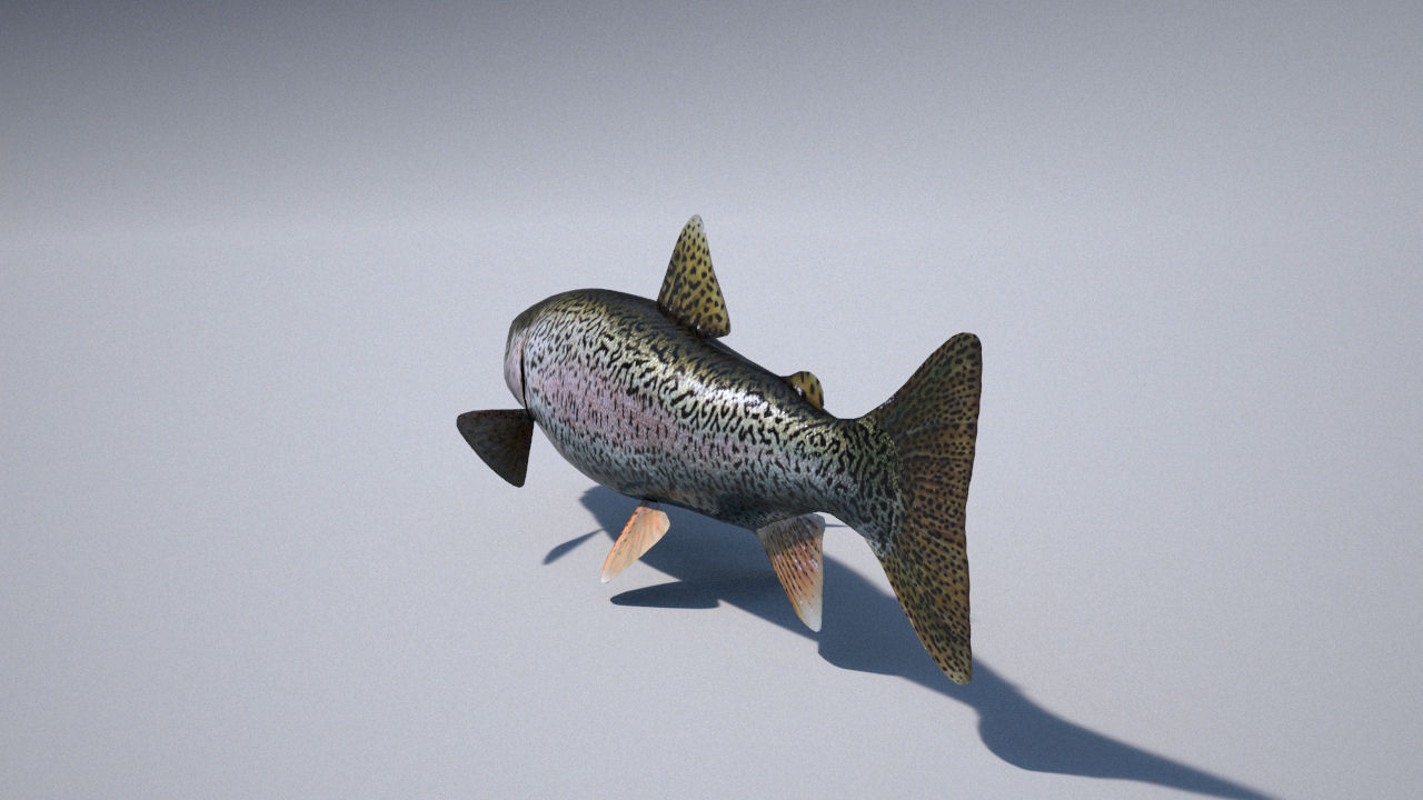 trout 3ds max vray 3D model_1