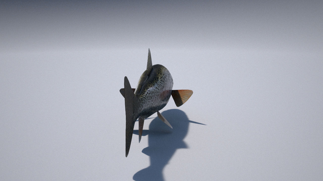 trout 3ds max vray 3D model_3