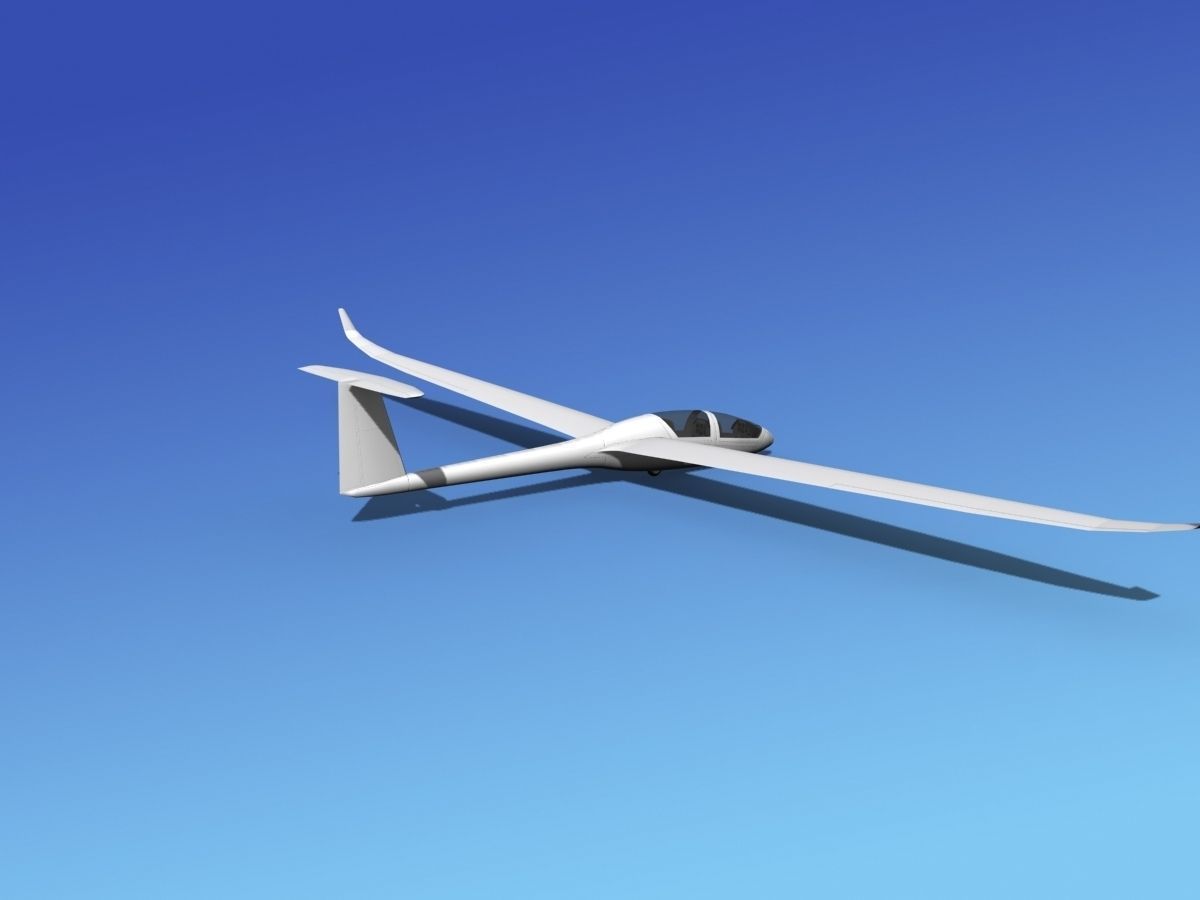 DG-1000 Glider Bare Metal 3D model_5