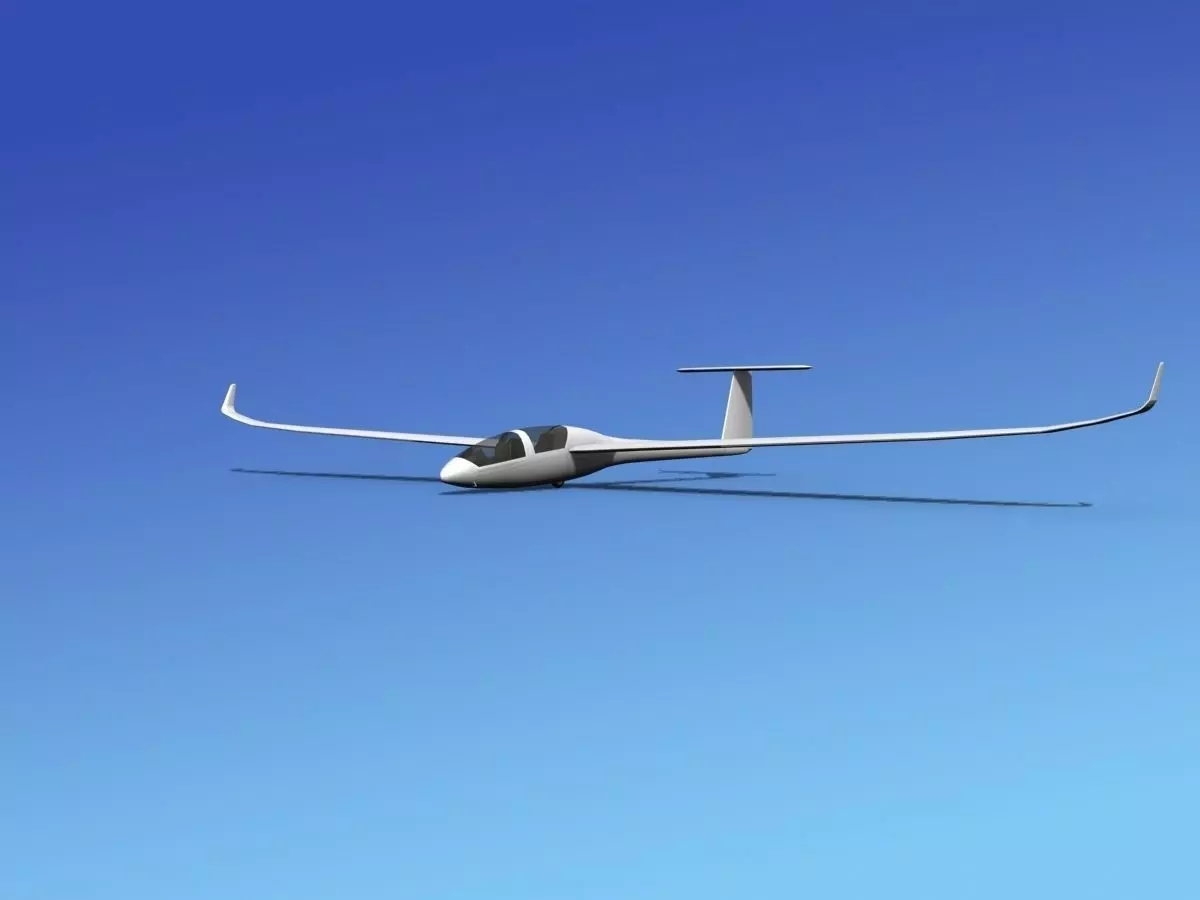 DG-1000 Glider Bare Metal 3D model_0
