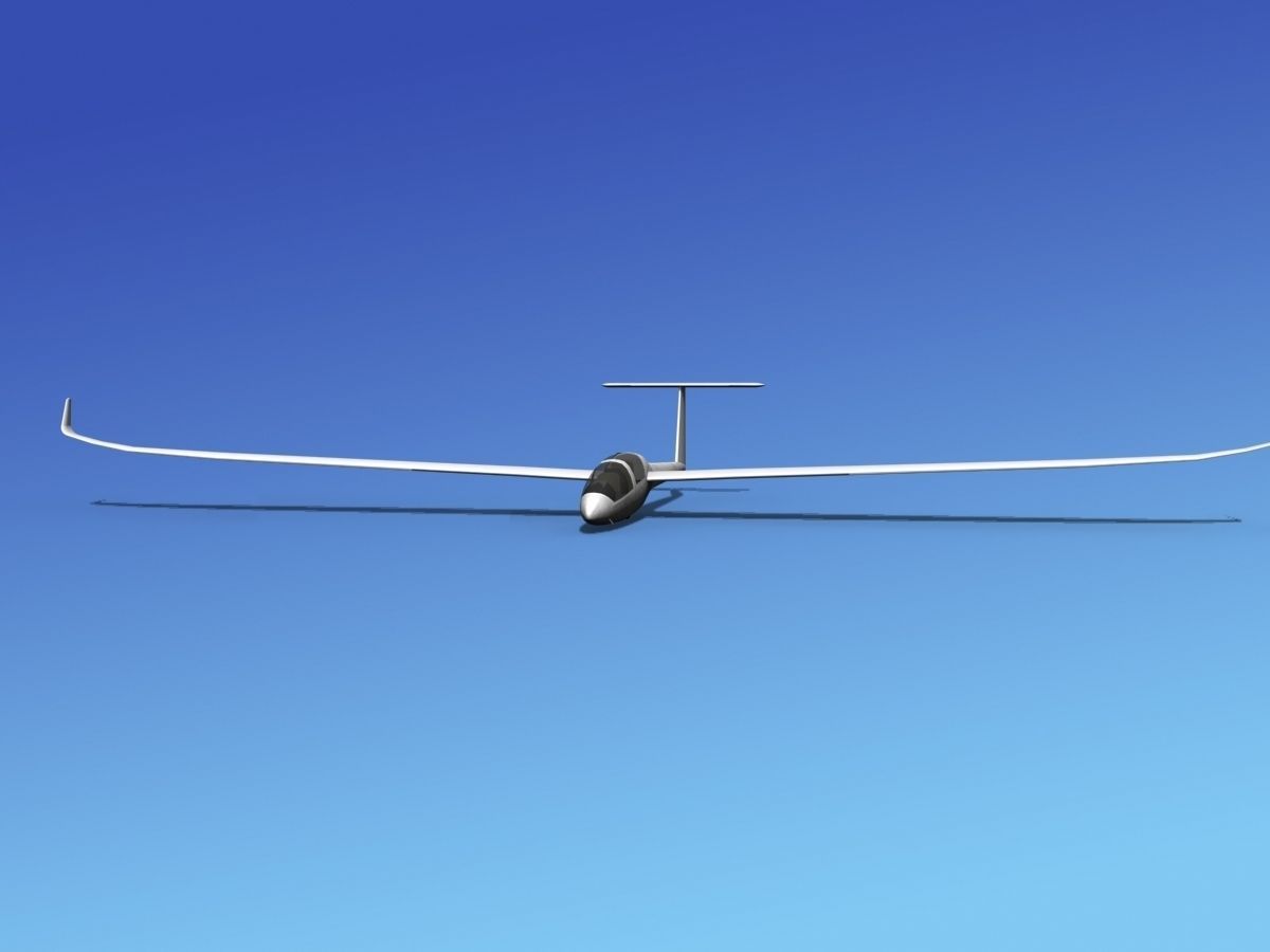 DG-1000 Glider Bare Metal 3D model_1