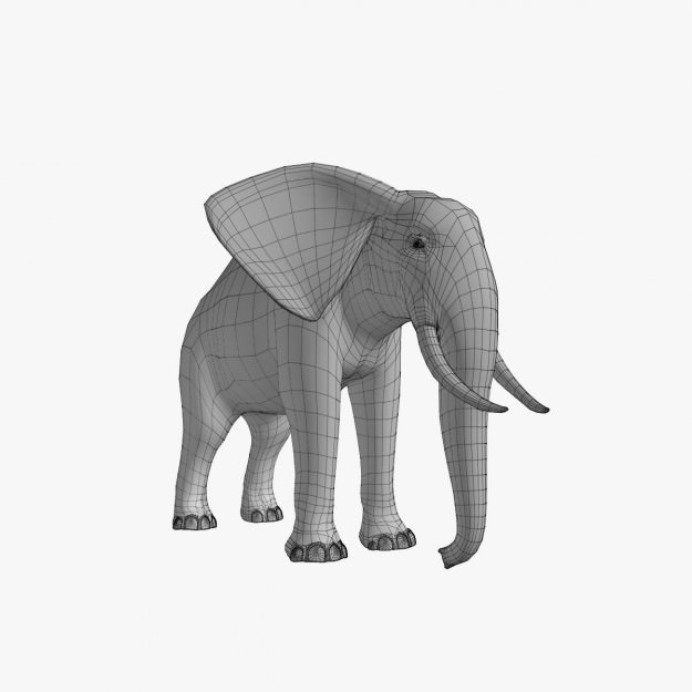 African Elephant 3D model_25