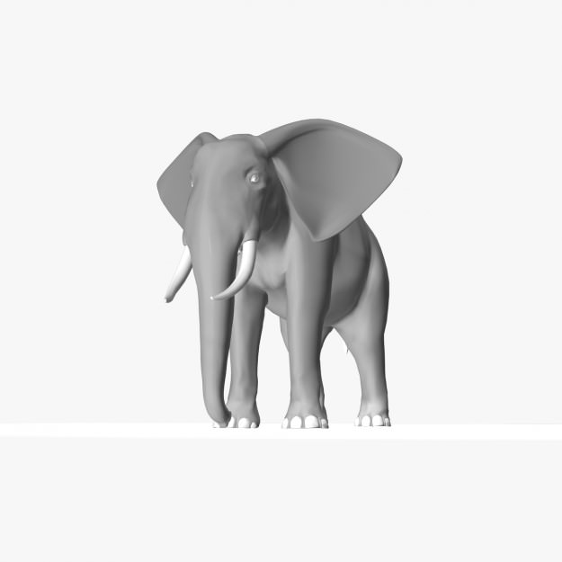 African Elephant 3D model_16
