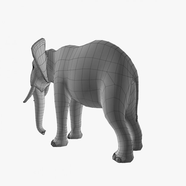 African Elephant 3D model_26