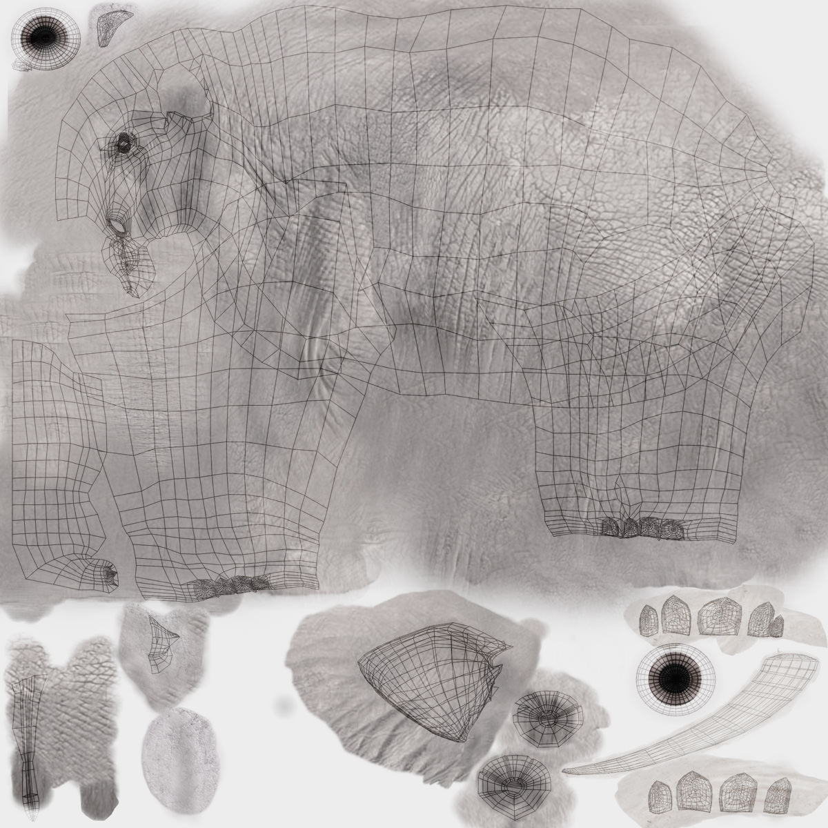 African Elephant 3D model_27