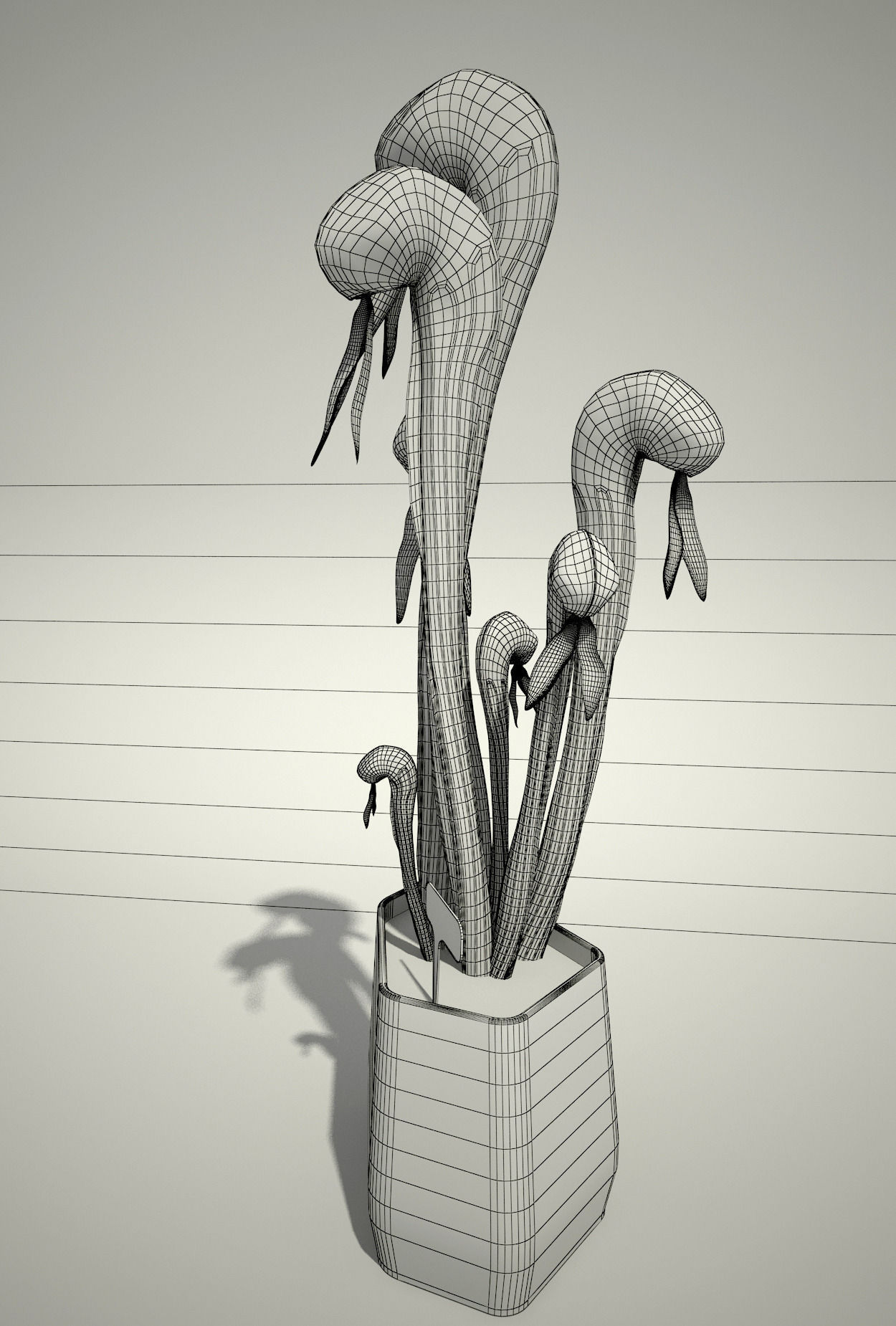 Carnivorous Plant -  Darlingtonia Californica 3D model_2