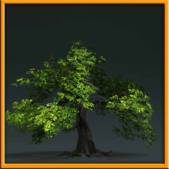 Tree - set 02  Low-poly 3D model_2
