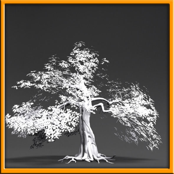 Tree - set 02  Low-poly 3D model_11