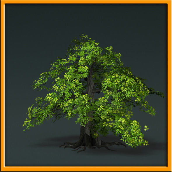 Tree - set 02  Low-poly 3D model_44
