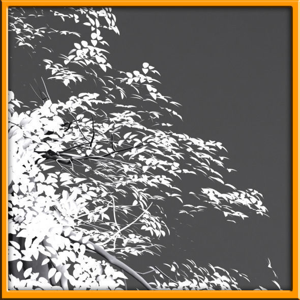 Tree - set 02  Low-poly 3D model_15