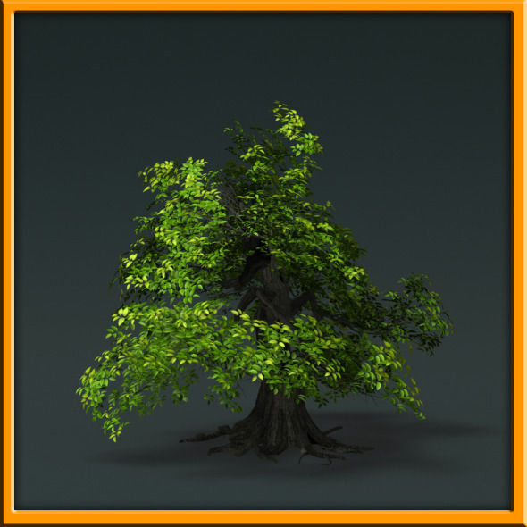 Tree - set 02  Low-poly 3D model_28