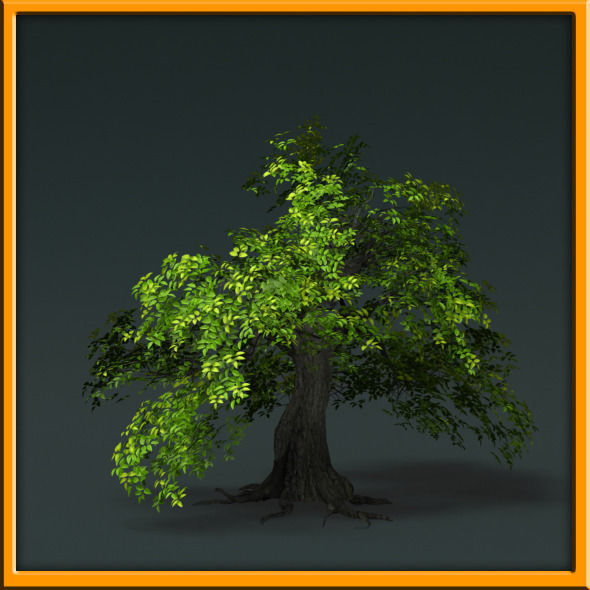 Tree - set 02  Low-poly 3D model_39