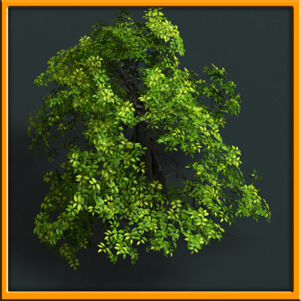 Tree - set 02  Low-poly 3D model_4