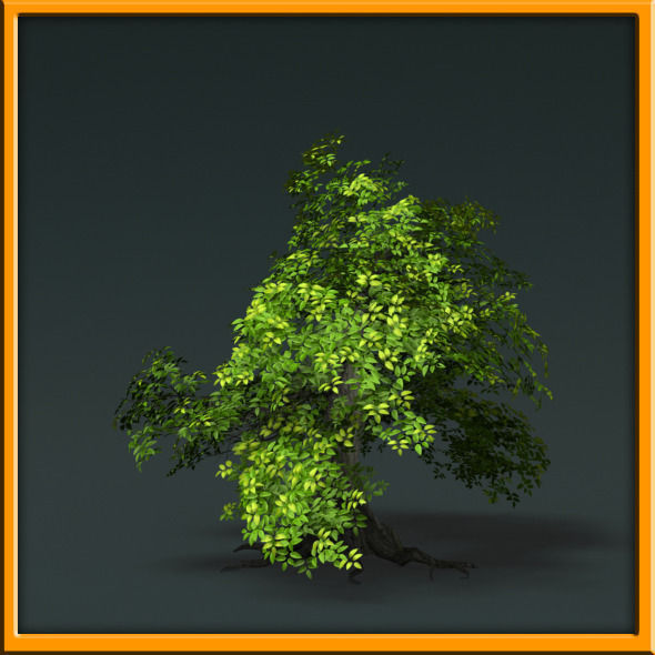 Tree - set 02  Low-poly 3D model_41