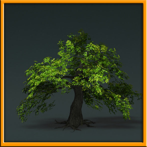 Tree - set 02  Low-poly 3D model_38