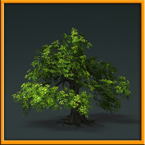 Tree - set 02  Low-poly 3D model_27