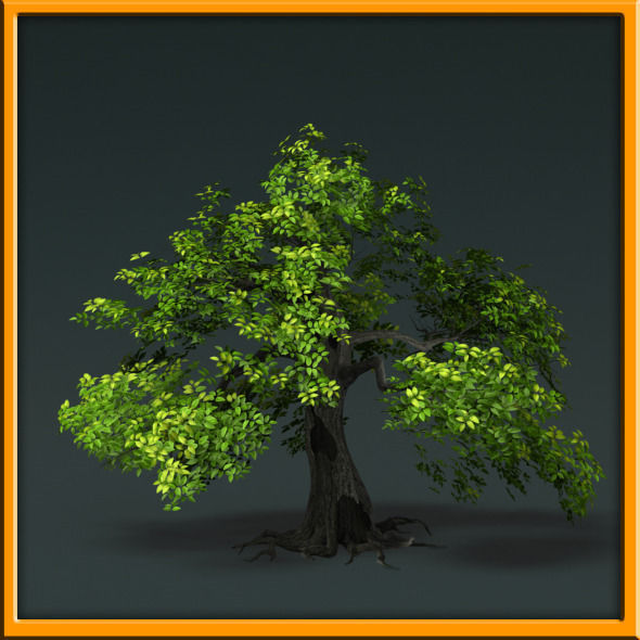 Tree - set 02  Low-poly 3D model_24
