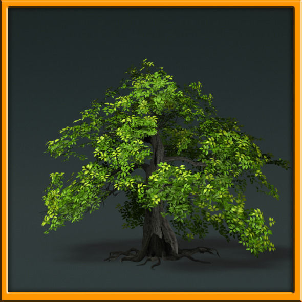 Tree - set 02  Low-poly 3D model_22