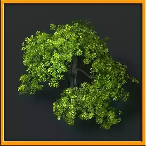 Tree - set 02  Low-poly 3D model Tree - set 02  Low-poly 3D model