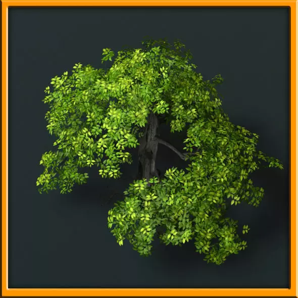 Tree - set 02  Low-poly 3D model_0