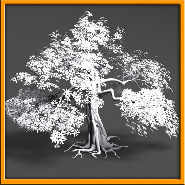 Tree - set 02  Low-poly 3D model_17