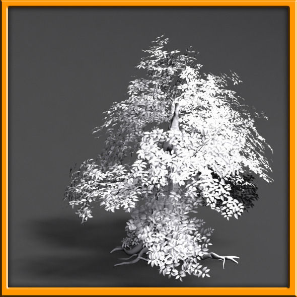 Tree - set 02  Low-poly 3D model_14