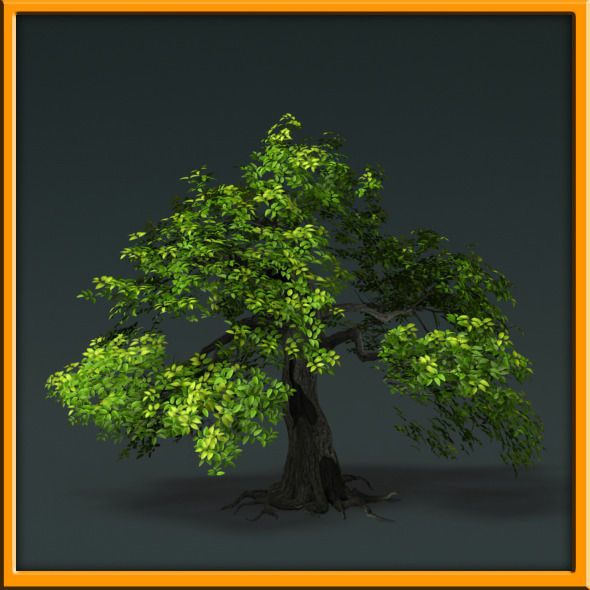 Tree - set 02  Low-poly 3D model_25