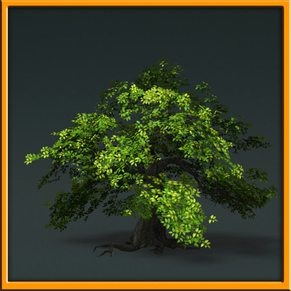 Tree - set 02  Low-poly 3D model_34