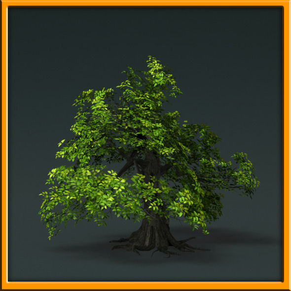 Tree - set 02  Low-poly 3D model_29