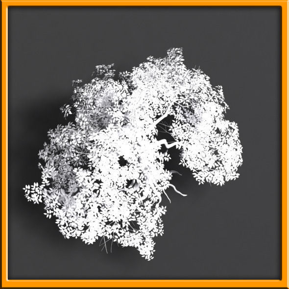 Tree - set 02  Low-poly 3D model_19