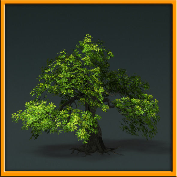 Tree - set 02  Low-poly 3D model_26