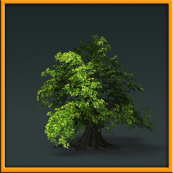 Tree - set 02  Low-poly 3D model_31