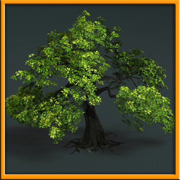 Tree - set 02  Low-poly 3D model_8