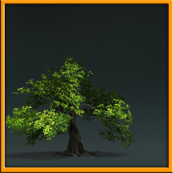 Tree - set 02  Low-poly 3D model_1