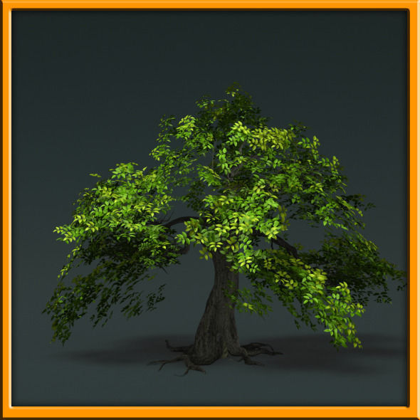 Tree - set 02  Low-poly 3D model_36