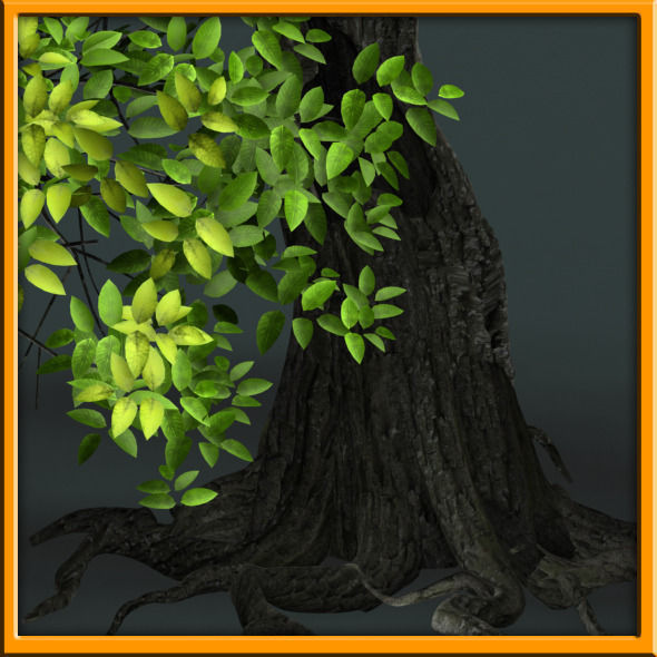 Tree - set 02  Low-poly 3D model_7