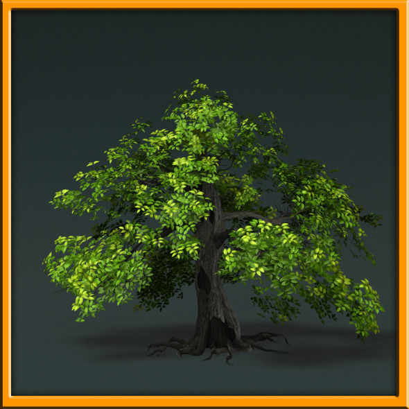 Tree - set 02  Low-poly 3D model_23