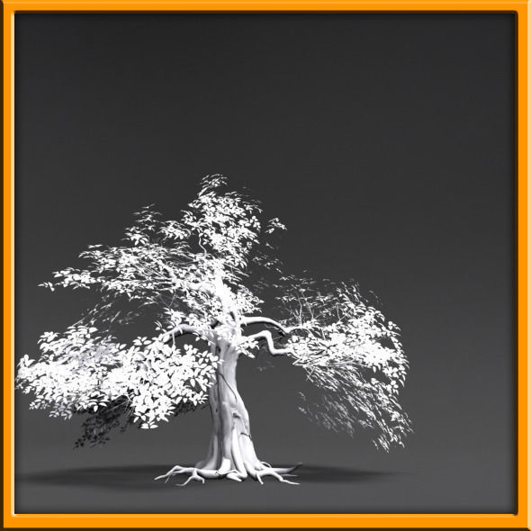 Tree - set 02  Low-poly 3D model_10
