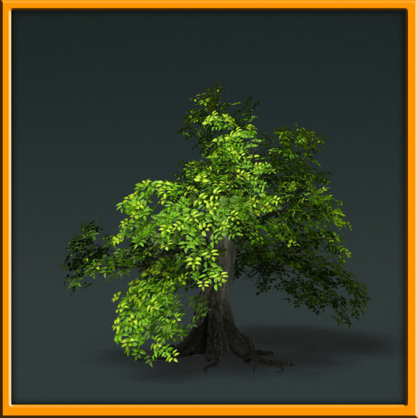 Tree - set 02  Low-poly 3D model_40