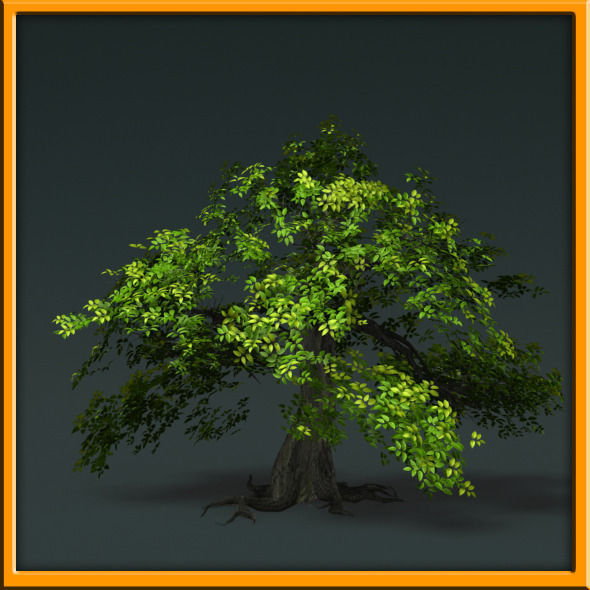Tree - set 02  Low-poly 3D model_35