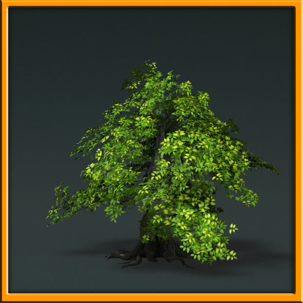 Tree - set 02  Low-poly 3D model_43
